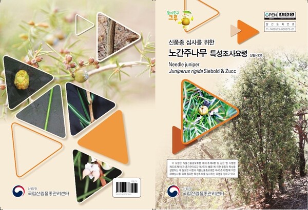 국립산림품종관리센터_ 노간주나무 TG_사진자료