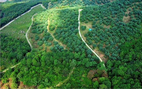 국립산림품종관리센터