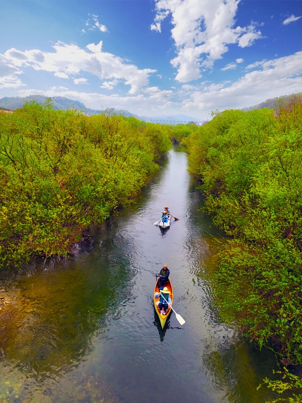 숨겨진 늪의 자연, 충주 장자늪 카누 체험 9월 개장