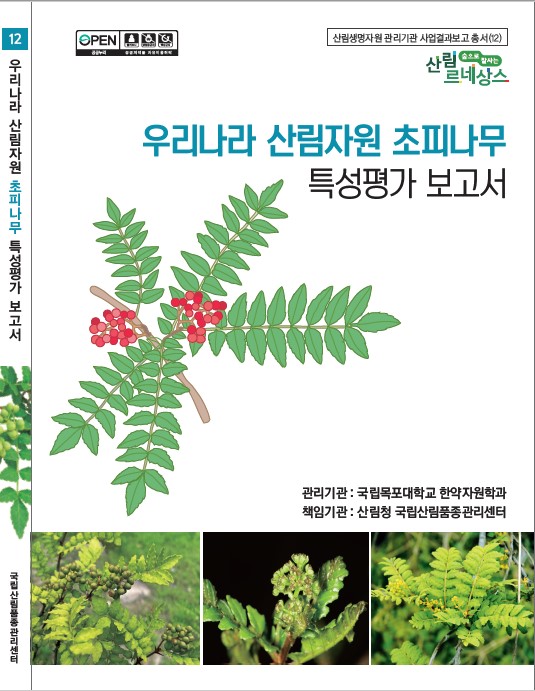 국립산림품종관리센터_초피나무_사진자료3